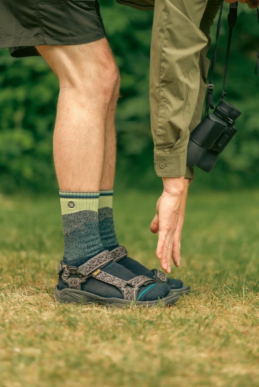 wes anderson father’s day image 5