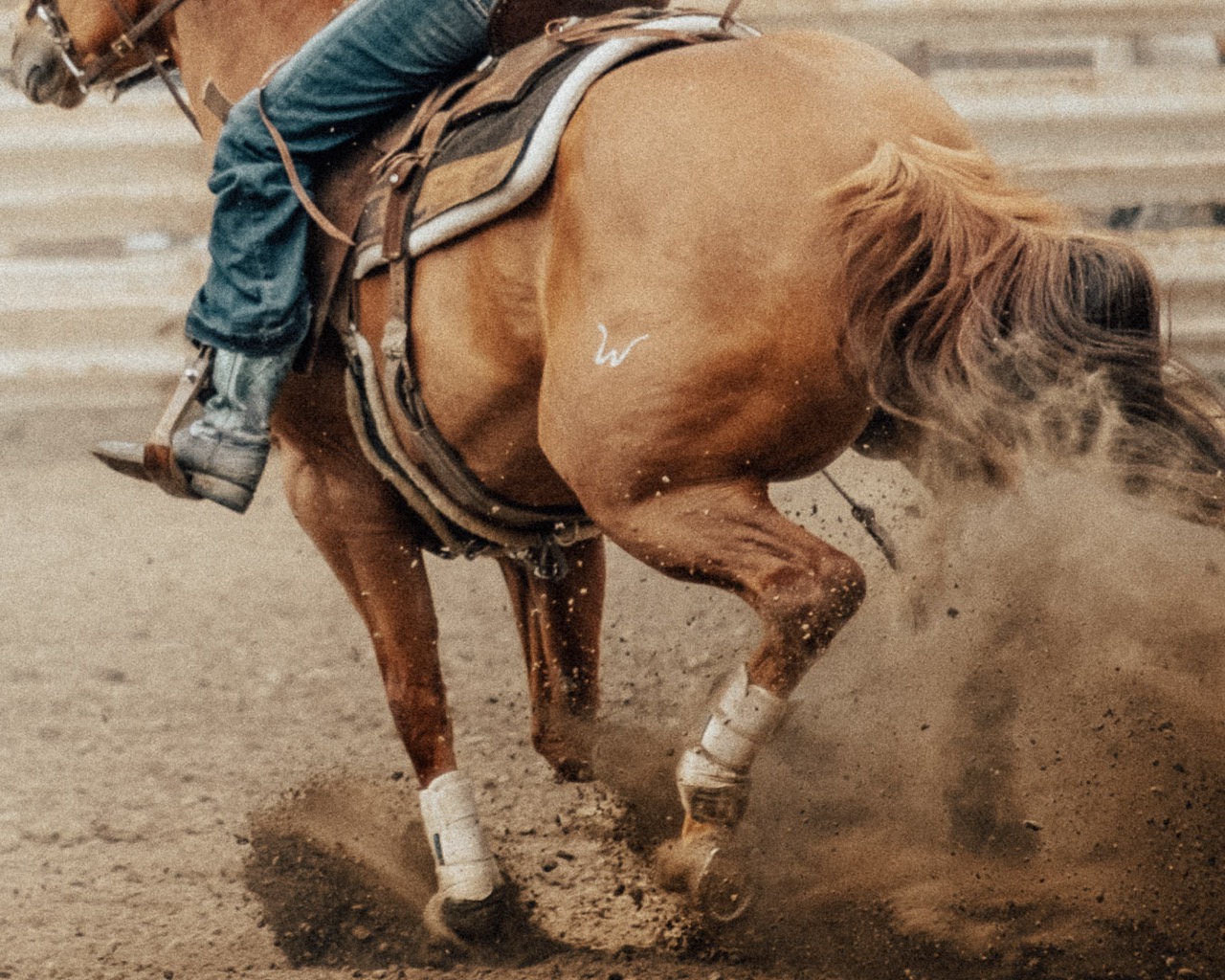 keromeos rodeo image 9