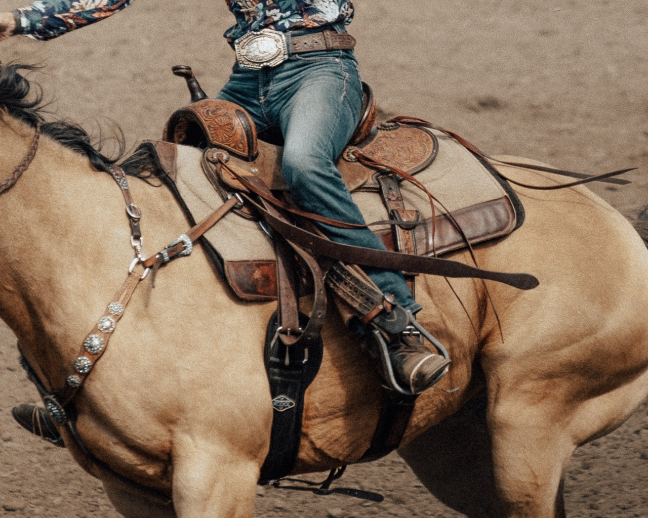 keromeos rodeo image 2