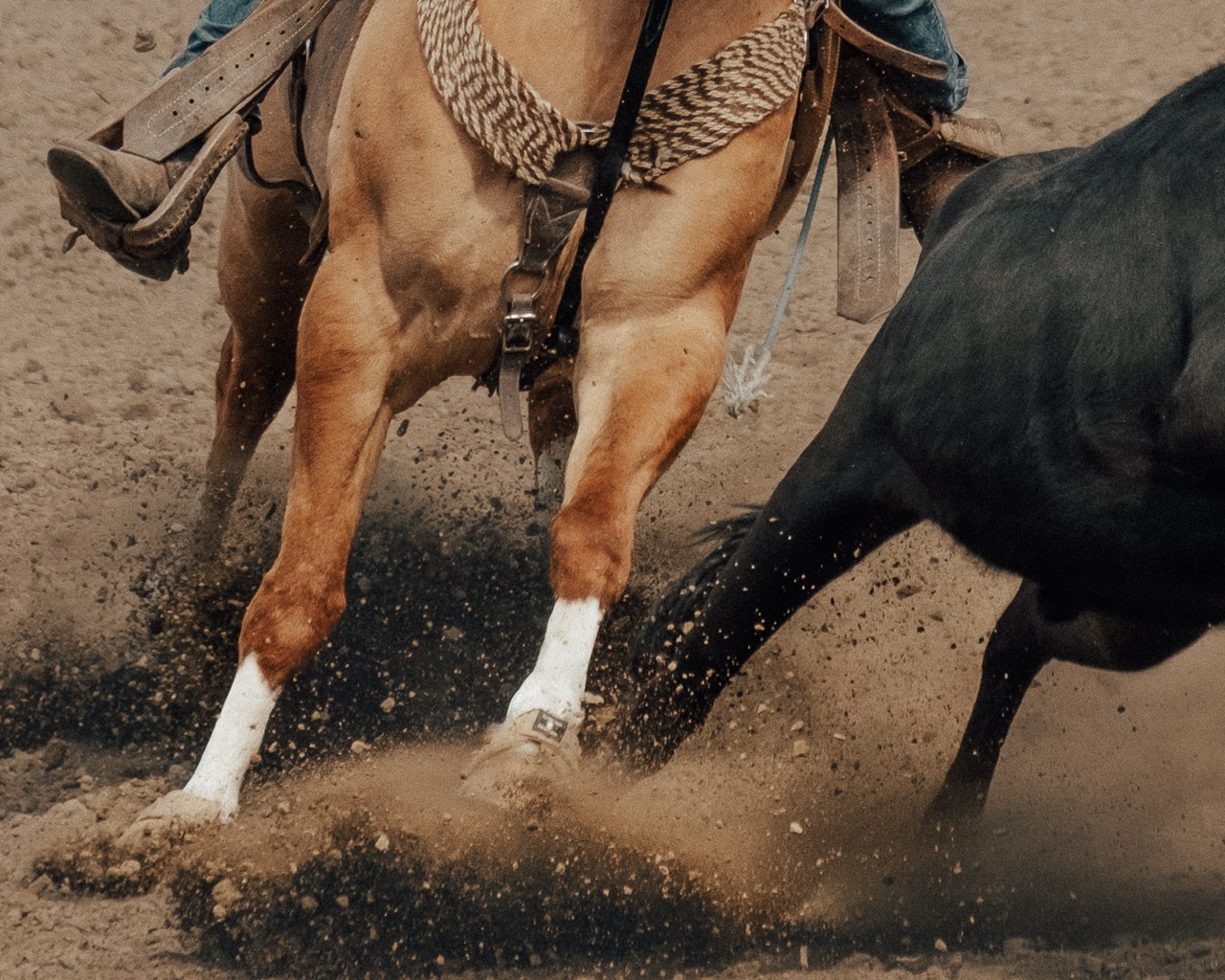 keromeos rodeo image 5